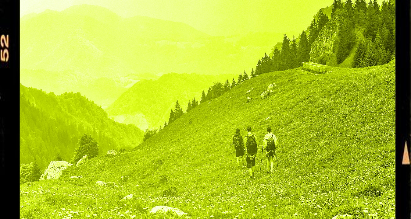 UP TO 50% OFF SITEWIDE-BLACK FRIDAY WEEK